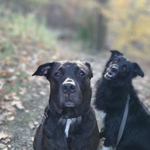 Meet your Posher, Sheiya